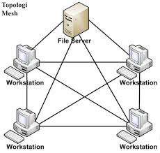 Topologi Mesh