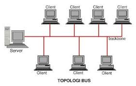 contoh topologi bus