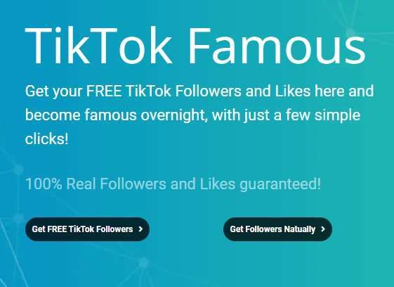 auto followers tiktok