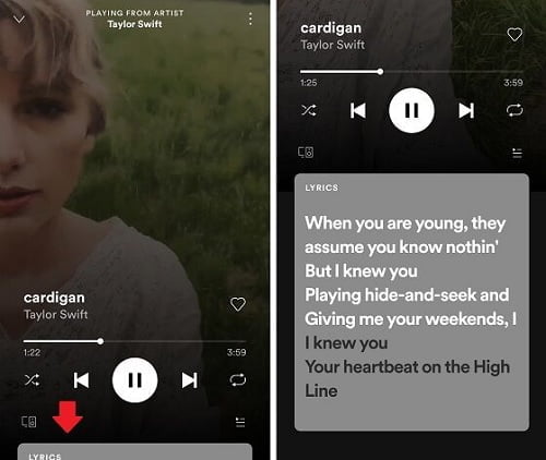 kenapa spotify tidak ada liriknya