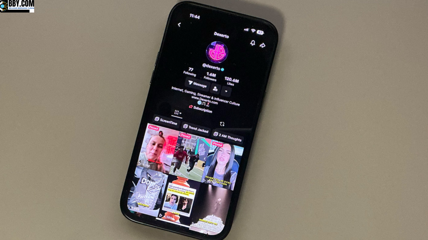 Cara Mematikan Kunjungan Profil TikTok